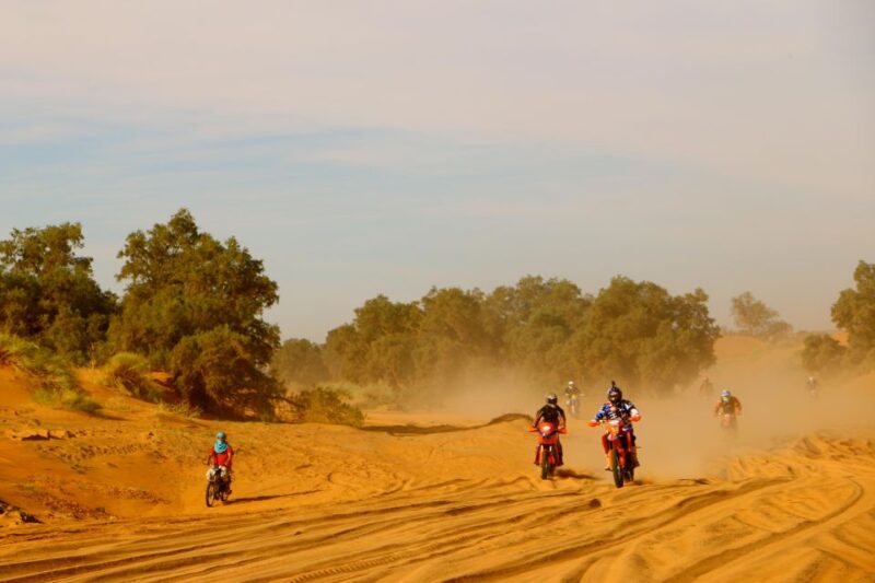 Enjoy a Private Experience in Riding KTM Bikes in Sahara - Daily Itinerary