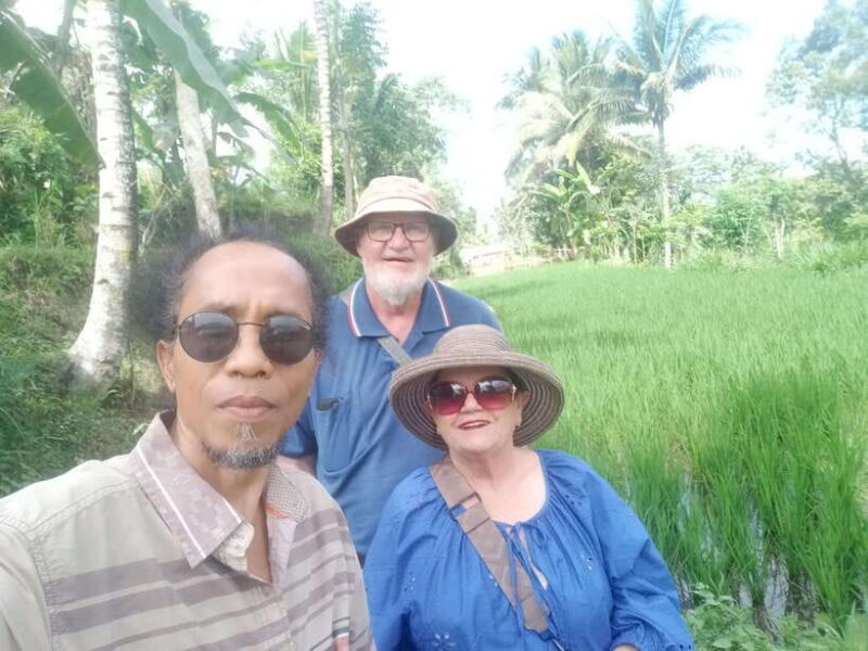Enjoy the rice field Panorama in Tete batu village - Introduction