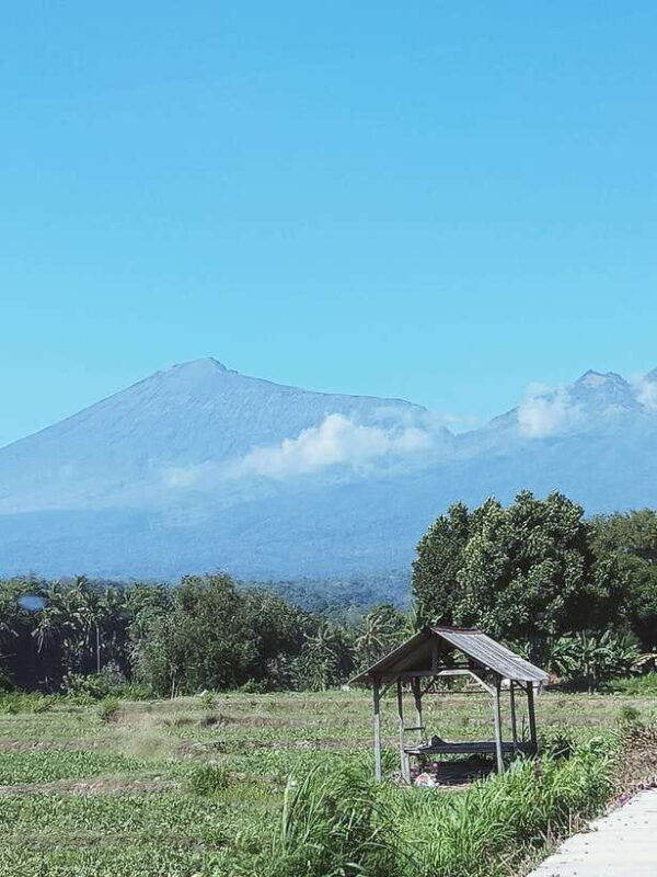 Enjoy the rice field Panorama in Tete batu village - Waterfalls and Wildlife: Nature’s Hidden Gems