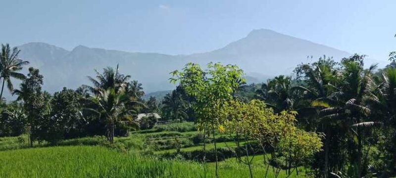 Enjoy the rice field Panorama in Tete batu village - The Experience Provider