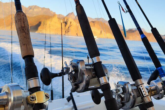Enjoy the sport fishing paradise in Loreto, BCS - Discovering Loreto’s Fish-Tastic Charm: A Deep Dive into a Popular Tour