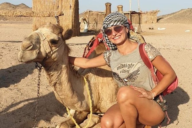 Enjoy The Super Safari Desert Adventure In Jeep From Hurghada - Savoring the Buffet Dinner and Show