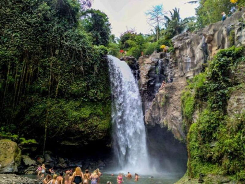 Enjoy Ubud : Tegallalang, Tegenungan Waterfall/ Private Tour - Exploring Bali’s Natural Wonders and Cultural Heart