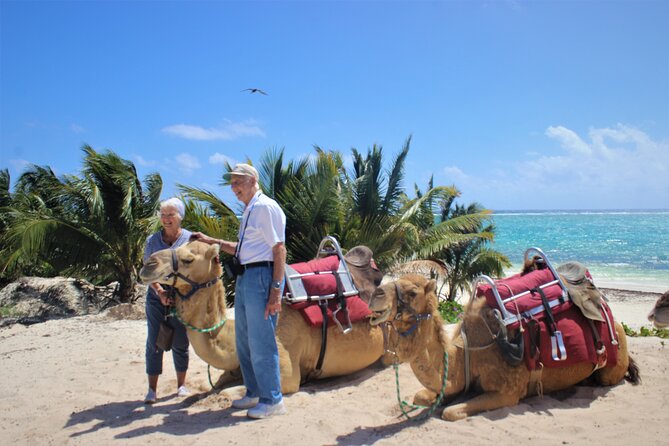ENJOY UNIQUE CAMEL RIDE in Puerto Morelos With Transportation - Customer Reviews and Feedback