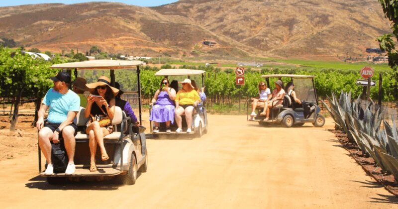 Ensenada: ATV/Golf car Mountain Drive Tour - Who Will Enjoy This Tour?