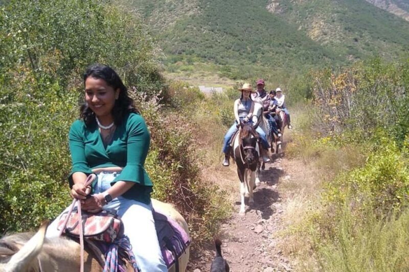 Ensenada: Bajas Hidden Trails: Horseback Ride w/ Ocean View - Key Points