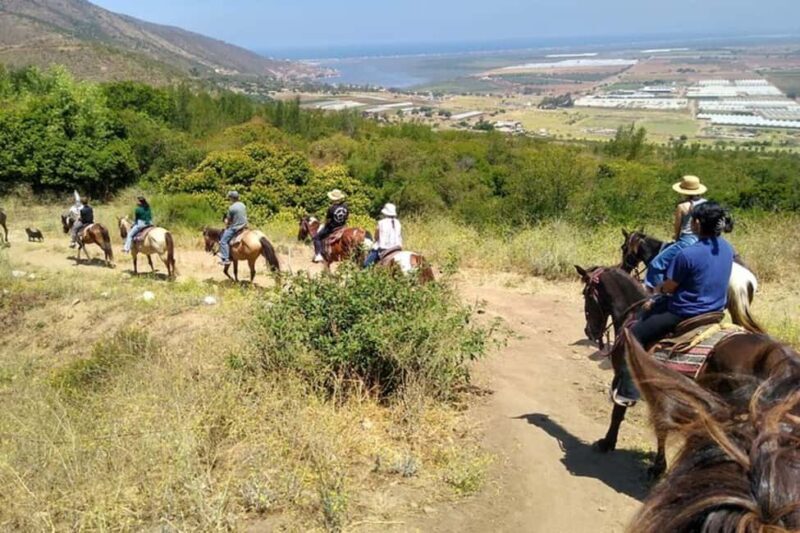 Ensenada: Bajas Hidden Trails: Horseback Ride w/ Ocean View - A Closer Look at the Ensenada Horseback Experience