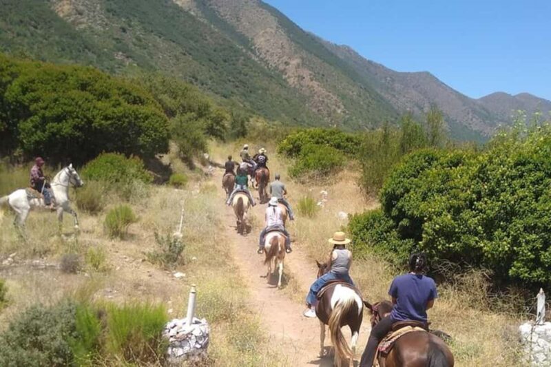 Ensenada: Bajas Hidden Trails: Horseback Ride w/ Ocean View - Value and Practicalities