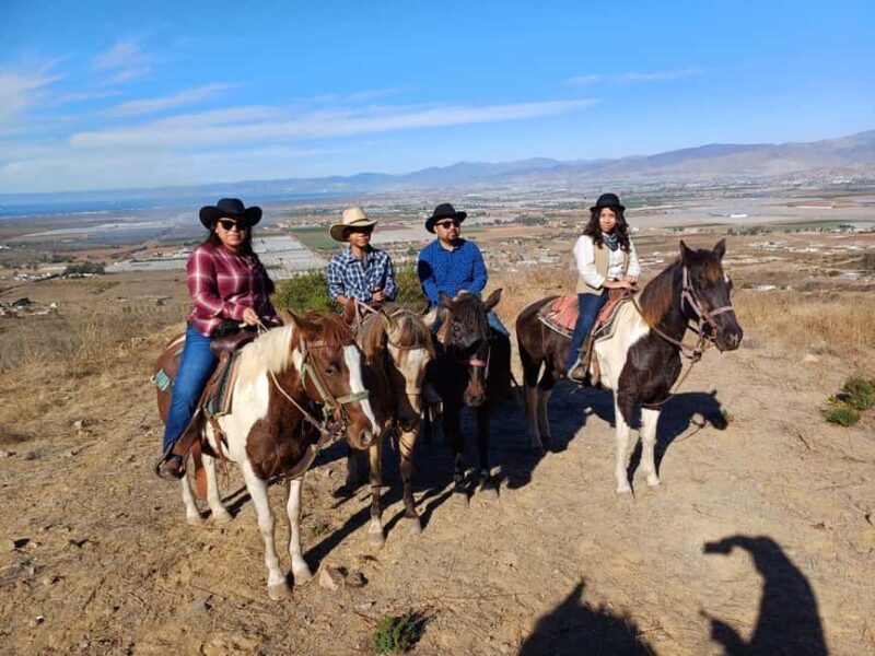 Ensenada: Bajas Hidden Trails: Horseback Ride w/ Ocean View - What to Bring and Know Before You Go
