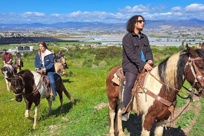 Ensenada: Bajas Hidden Trails: Horseback Ride w/ Ocean View - Who This Tour Is Perfect For