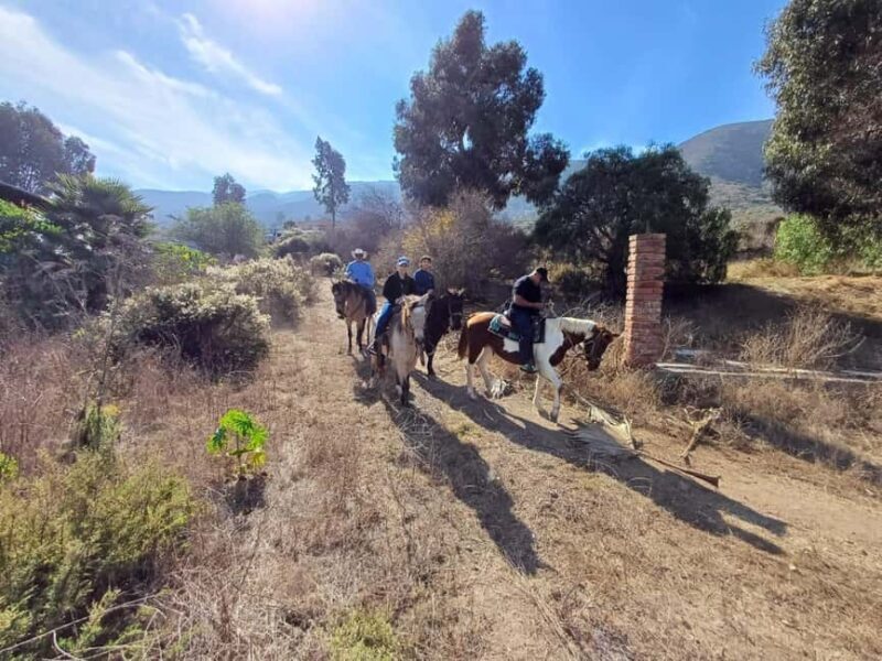 Ensenada: Bajas Hidden Trails: Horseback Ride w/ Ocean View - FAQ