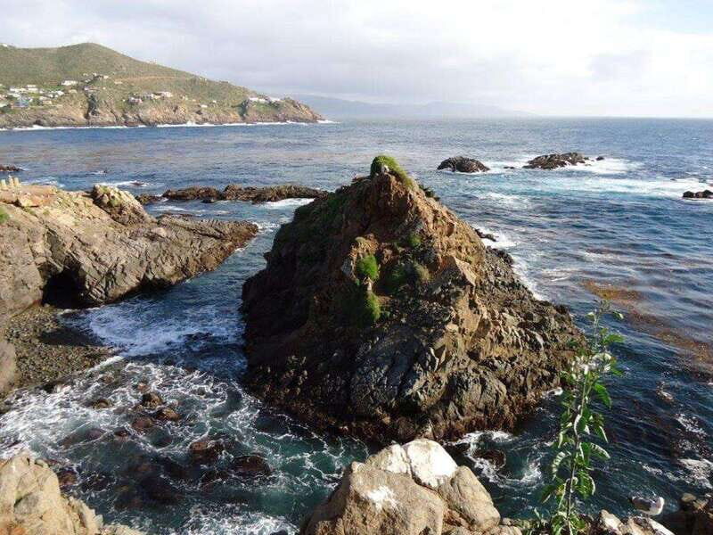 Ensenada: Beach and Bar Experience - Who This Tour Is Perfect For