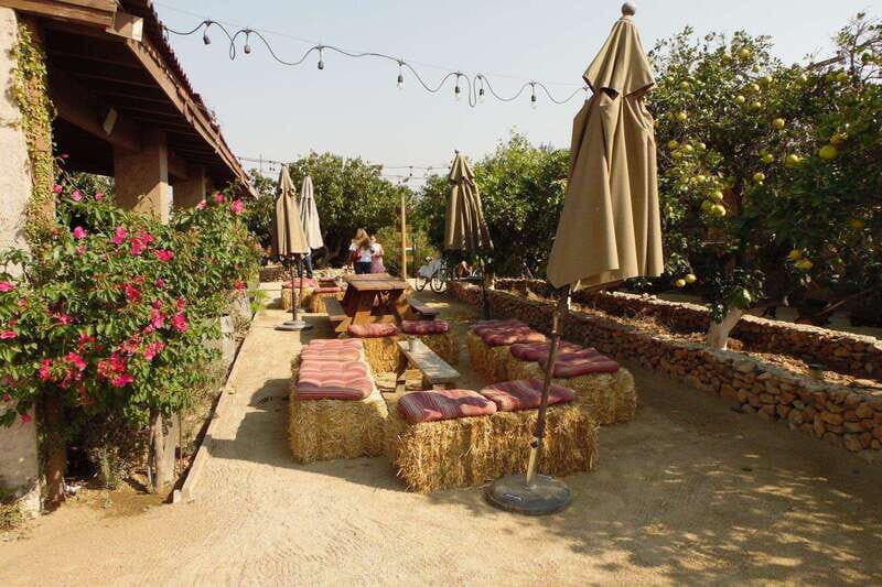 Ensenada: Guadalupe Valley Wine Route Private Tour - An In-Depth Look at the Guadalupe Valley Wine Route Private Tour