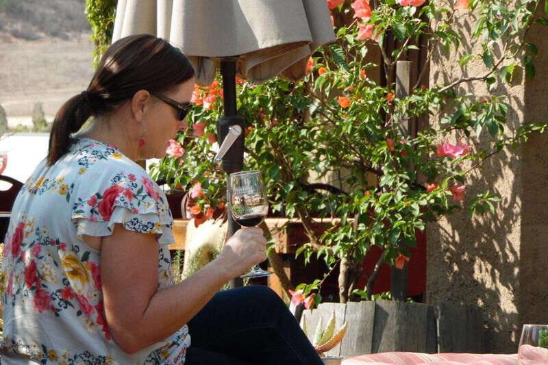 Ensenada: Guadalupe Valley Wine Route Private Tour - Detailed Breakdown of the Tour Experience