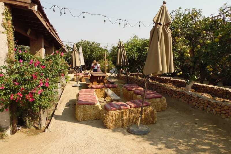 Ensenada: Guadalupe Valley Wine Route Private Tour - Pickup and Transportation