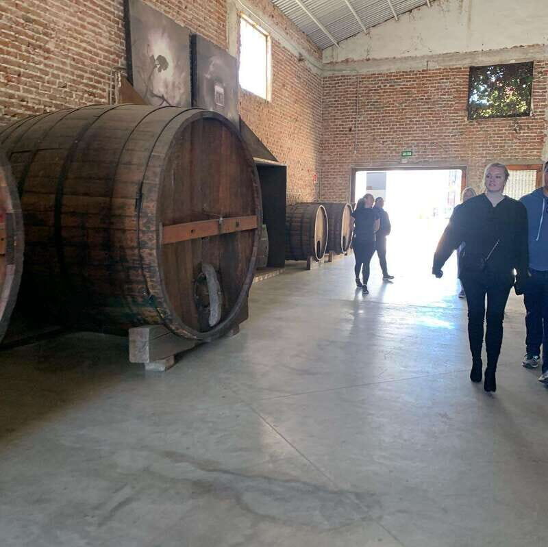 Ensenada: Guided City Highlights Tour with Margarita Tasting - Deep Dive into the Itinerary