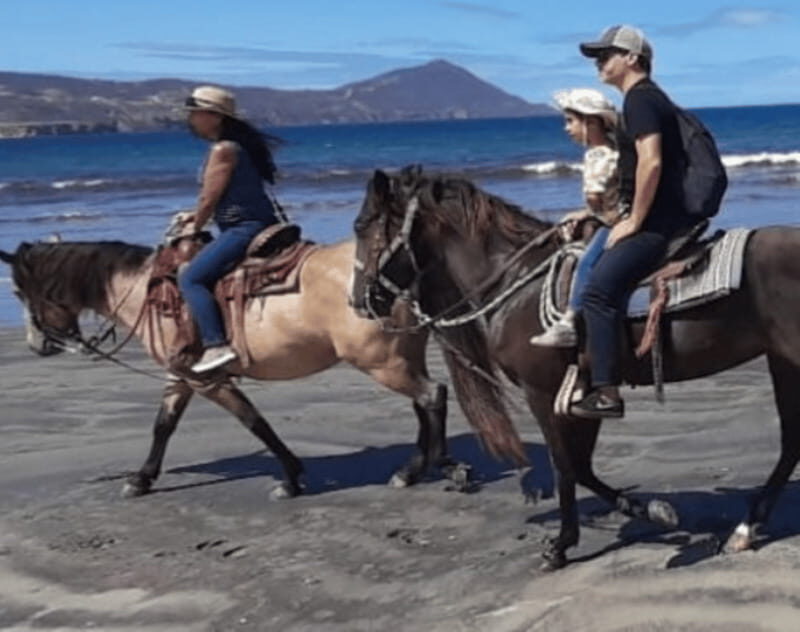 Ensenada: Horseback Riding at Playa Hermosa Beach - Who Is This Tour Best Suited For?
