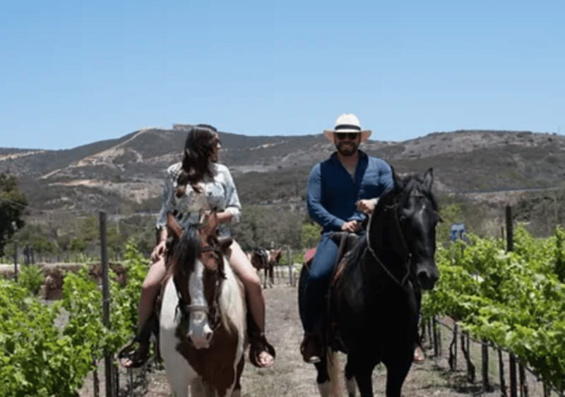 Ensenada: Horseback Riding at the Vineyards - Key Points