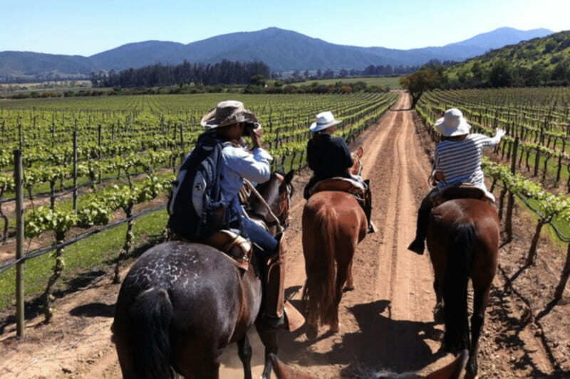 Ensenada: Horseback Riding at the Vineyards - Additional Notes and Practical Tips