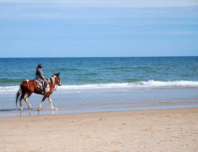Ensenada: Horseback riding in the beach - Who Will Love This Tour?