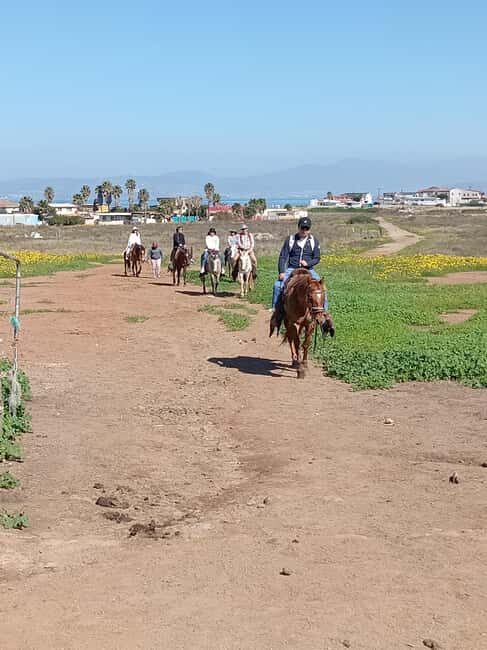 Ensenada: La Bufadora and Playa Hermosa Horseback Riding - FAQ