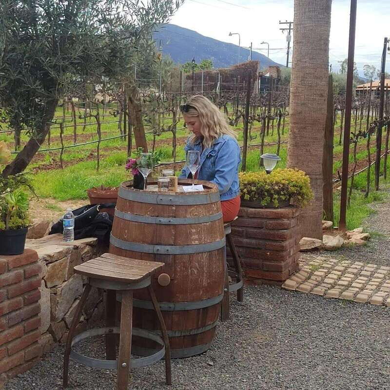 Ensenada: Ojos Negros Valley Cheese and Wine Tasting Tour - Key Points