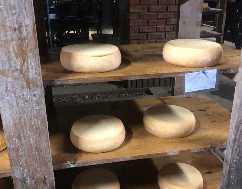 Ensenada: Ojos Negros Valley Cheese and Wine Tasting Tour - Practical Tips for Travelers