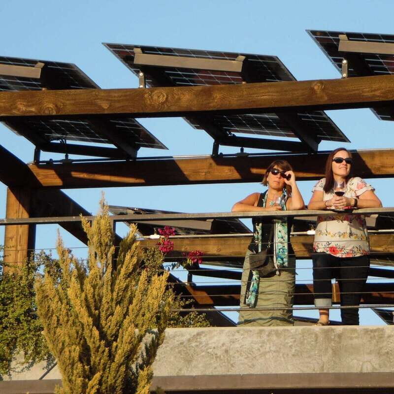 Ensenada: Old Wine Route Tour with 4 Winery Visits - An In-Depth Look at the Old Wine Route Tour