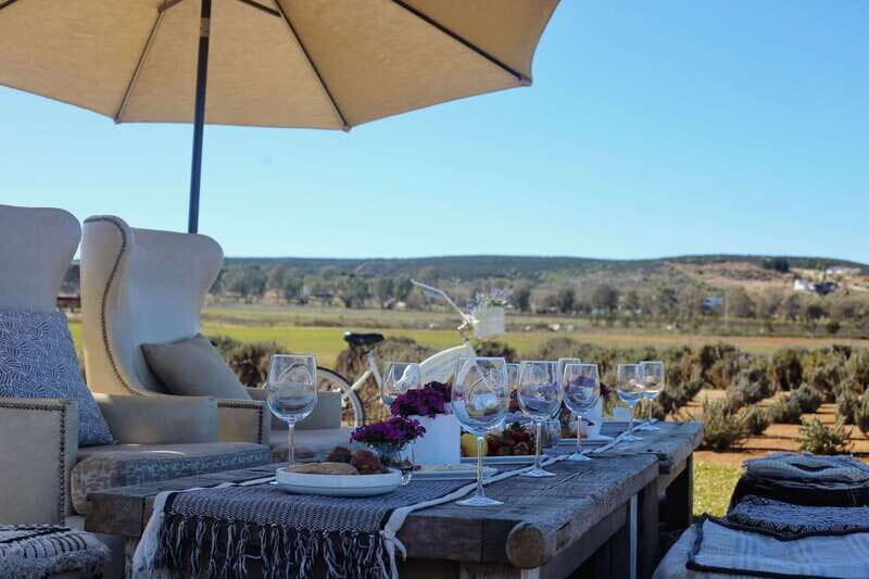 Ensenada: Picnic in Lavender Fields at Aires de Lavanda - The Bottom Line: Is It Worth It?