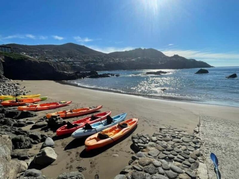 Ensenada: Private Kayak Tour to La Bufadora W/Transfer - Key Points
