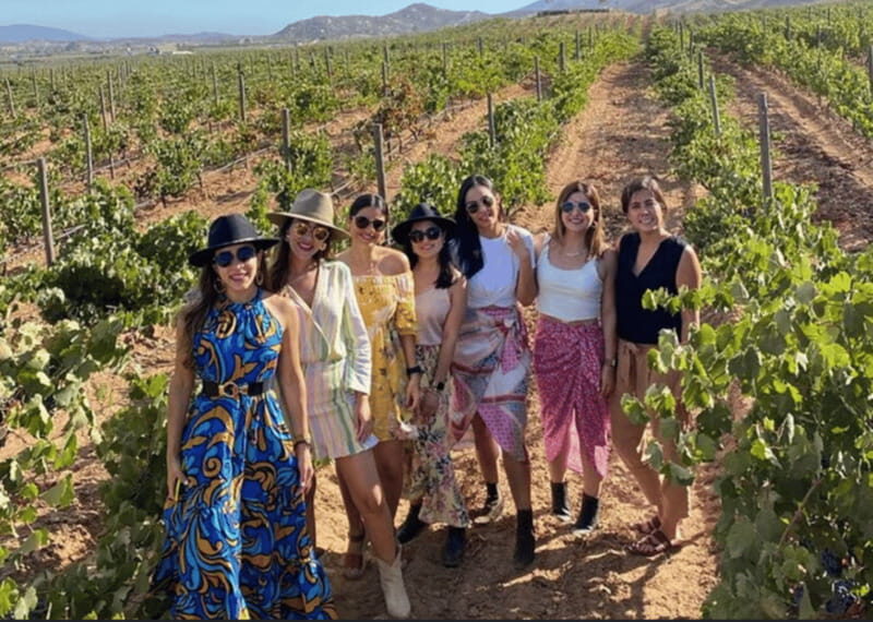 Ensenada: Valle de Guadalupe Wine Tasting Tour - Key Points