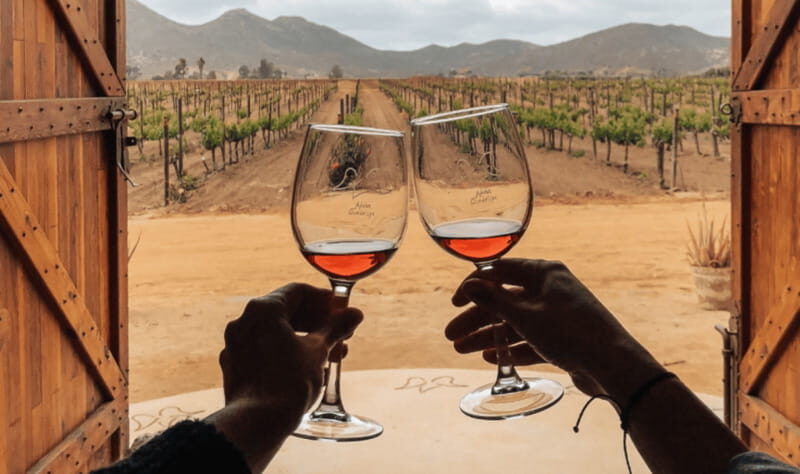 Ensenada: Valle de Guadalupe Wine Tasting Tour - Exploring Valle de Guadalupe with Ensenada Shore Excursions