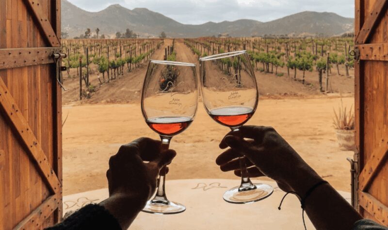 Ensenada: Valle de Guadalupe Wine Tasting Tour - The Region’s Appeal: Why It Matters