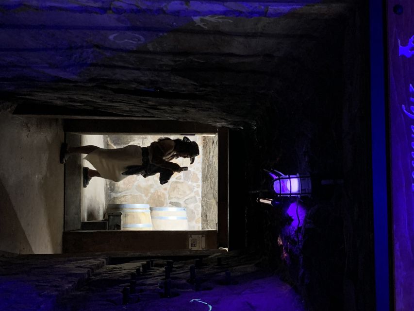 Ensenada: Wine Tasting Tour in Valle De Guadalupe - Optional Tour Activities