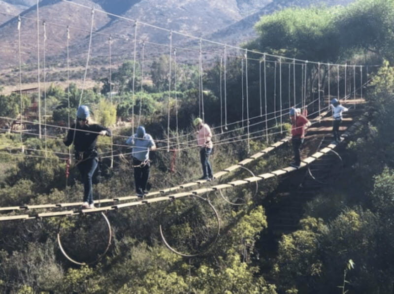 Ensenada: Zipline and Hanging Bridges at Las Cañadas - The Zipline Course: High-Speed and Scenic