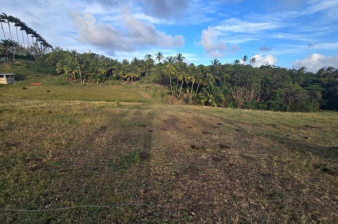 Enslaved Spaces of Barbados - Final Thoughts: Who Should Consider This Tour?