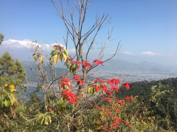 Entite Pokhara Day Tour by Private Car With Guide - Importance of a Private Guide