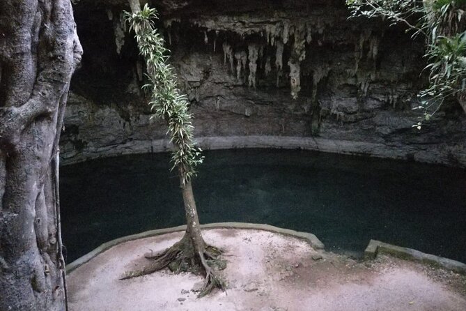 Entrance Fees to Cenote Suytun With Buffet - Visitor Feedback and Experiences