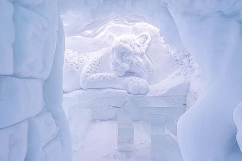 Entrance tickets to Snowman World and Snow Restaurant Dinner - What to Expect from Snowman World & Snow Restaurant Dinner