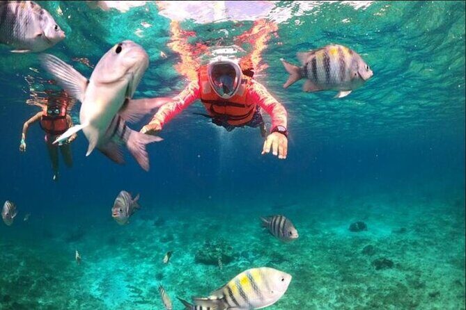 Entrance to Chankanaab Eco Park with Beach Club in Cozumel - FAQ