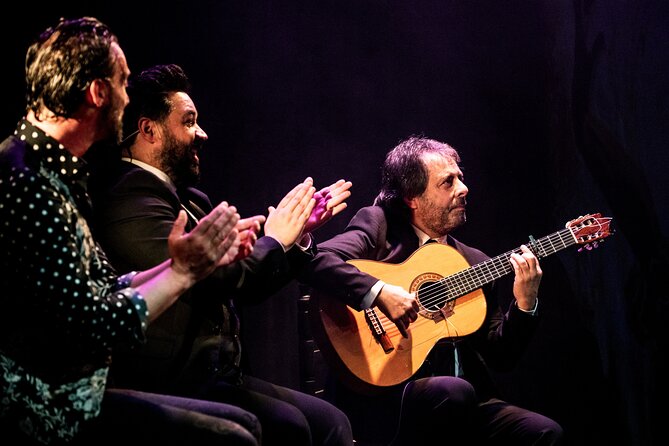 Entrance to the Flamenco Show at Teatro Flamenco Málaga - Accessibility and Transportation Options