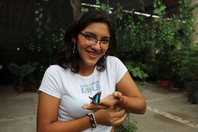 Entrance to the Morpho Butterfly and Liquor Tasting - Introduction