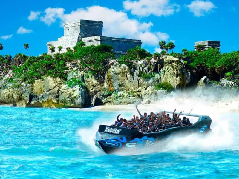 Entrance to Xel-Há Park with Food and Open Bar Included - The Sum Up