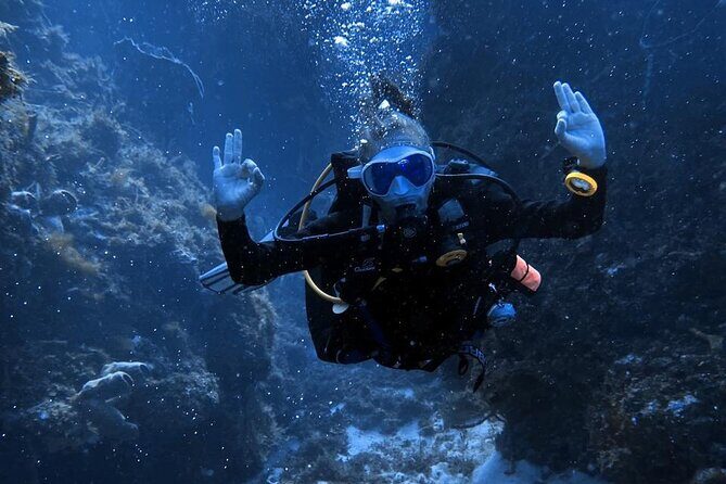 Entry Level PADI Course Discovery Scuba Dive - Frequently Asked Questions