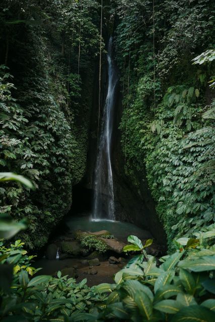 Entry Ticket Include: Bratan, Handara, Jatiluwih, Leke-Leke - UNESCO Jatiluwih Rice Fields