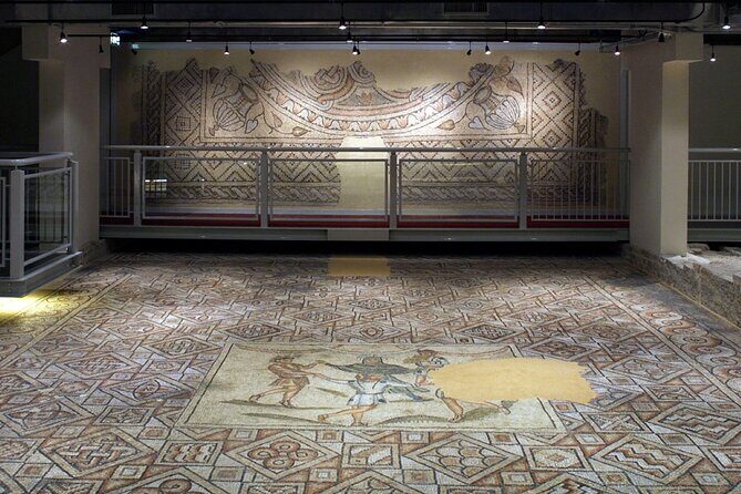 Entry Ticket to the Domus of Stone Mosaics Archaeological Site - A Detailed Look at the Experience