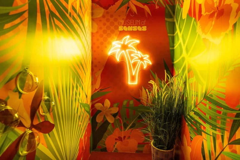 Entry ticket to the Museum of Senses in Milan - A Practical, Insightful Look at the Museum of Senses in Milan