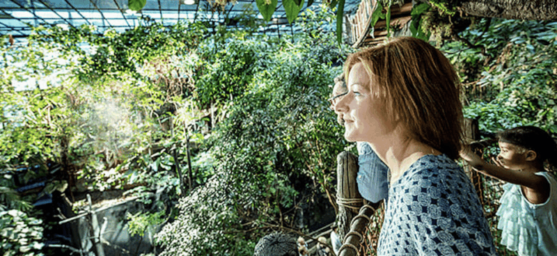 Entry Ticket to Universeum in Gothenburg With Pickup - Pickup and Drop-off Details
