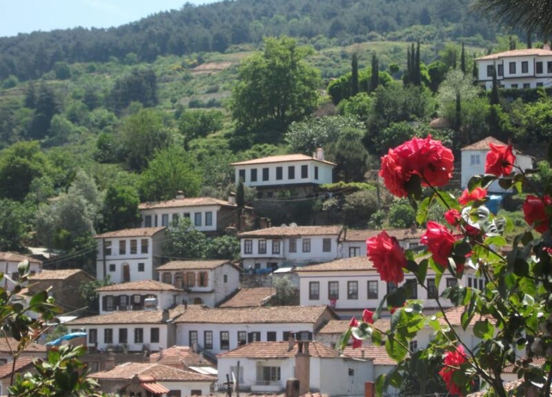 Ephesus and Sirince Tour From Izmir / Kusadasi - Meet Your Guides