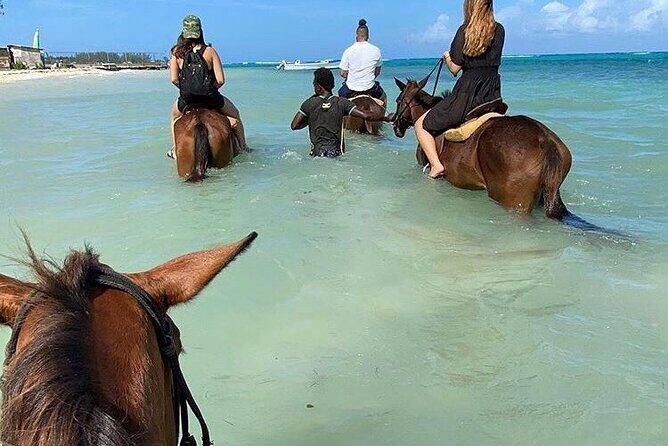 Epic Horseback Ride & Swim and Blue Hole From Montego Bay Private - FAQs